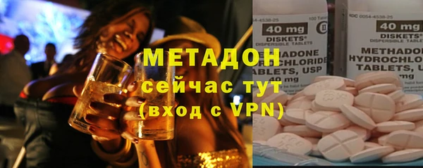 прущие грибы Аркадак