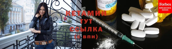прущие грибы Аркадак