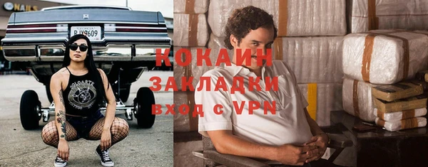 прущие грибы Аркадак